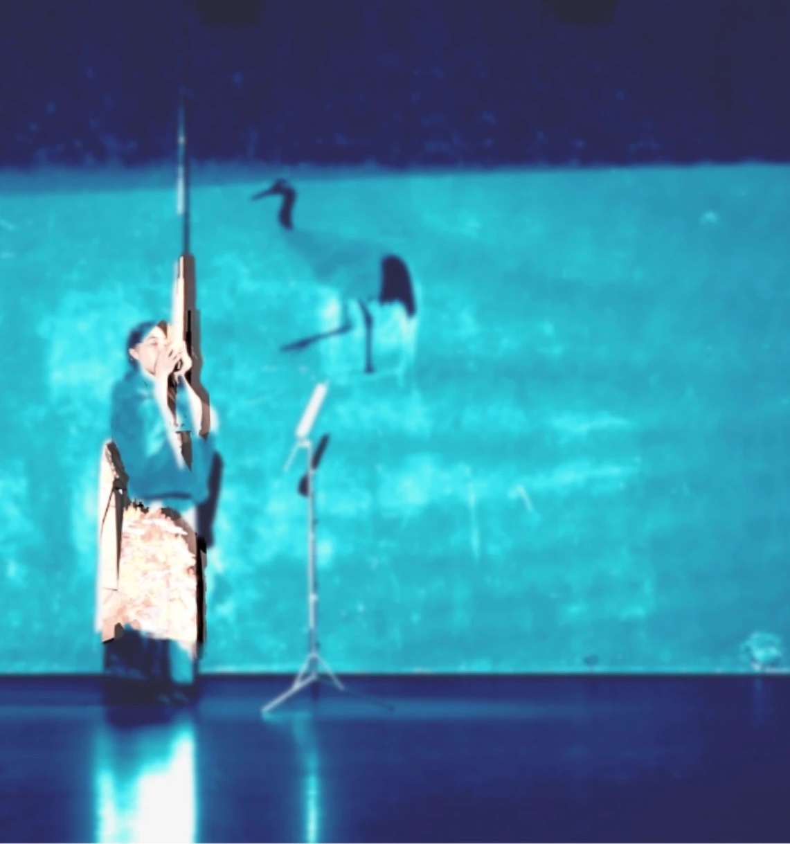 Junko Yamamoto plays Shō before a video with a Manchurian crane