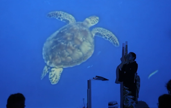 Shō-Player with Sea-Turtle in Video